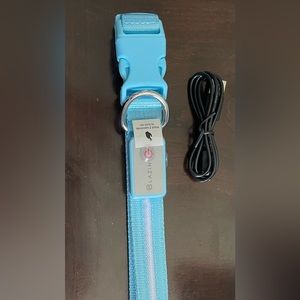 LED Safety Dog Collar Medium in light blue
